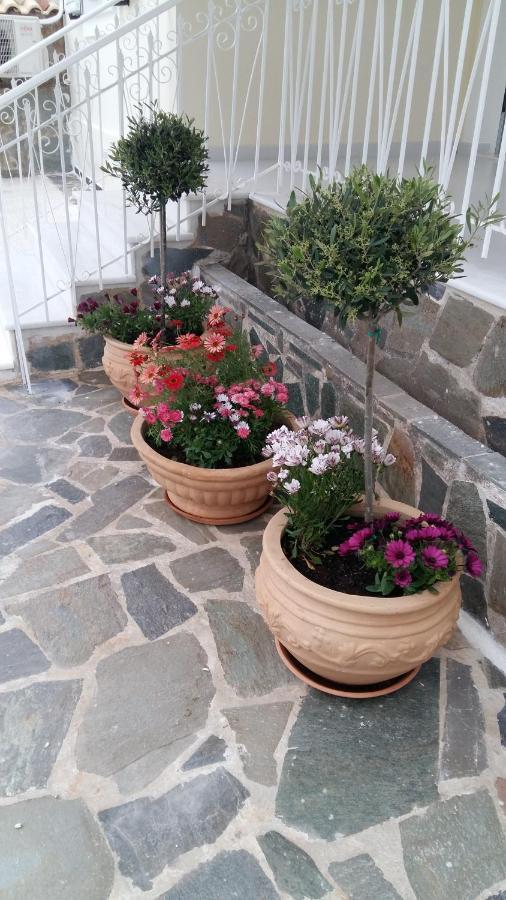 Nn Spata Rooms & Suites Near Athens Airport Luaran gambar